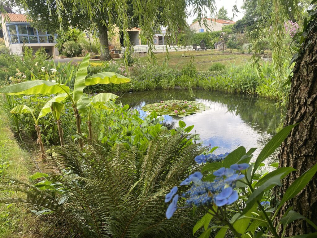 Le jardin