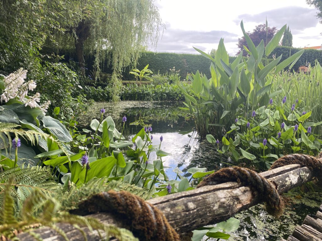 Le jardin