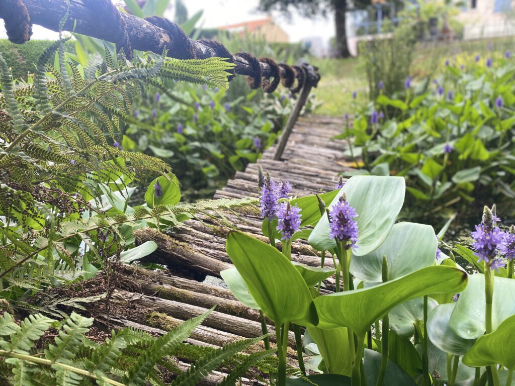 Le jardin