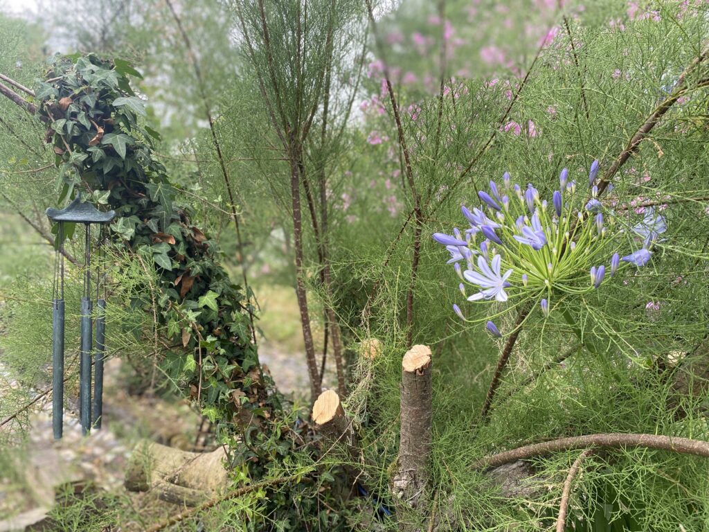 Le jardin