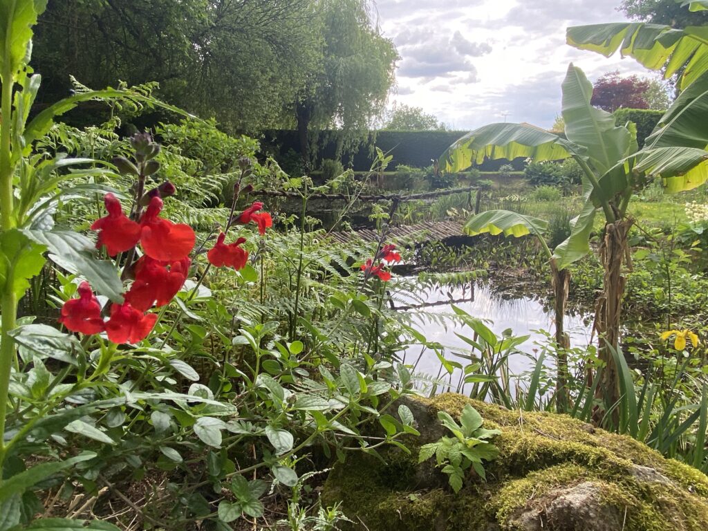 Le jardin